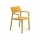 sedia Trill Armchair SENAPE